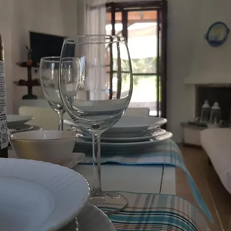 Konstantinos's Luxury Sani Tatil Evi