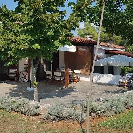 Tatil Evi Konstantinos's Luxury Sani *