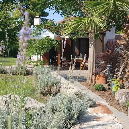 Tatil Evi Konstantinos's Luxury Sani *