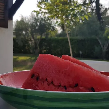 Konstantinos's Luxury Sani Tatil Evi