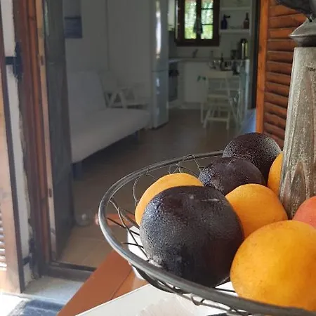 Tatil Evi Konstantinos's Luxury Sani