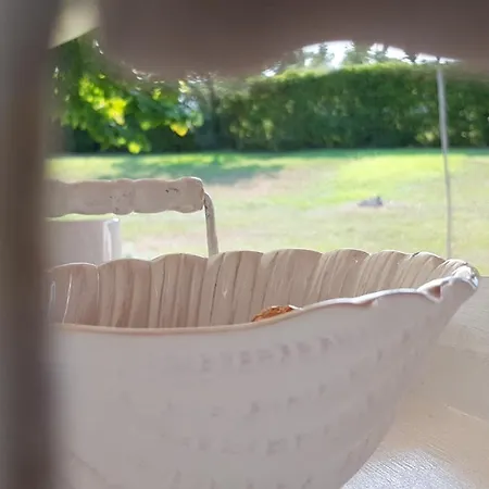 Tatil Evi Konstantinos's Luxury Sani *