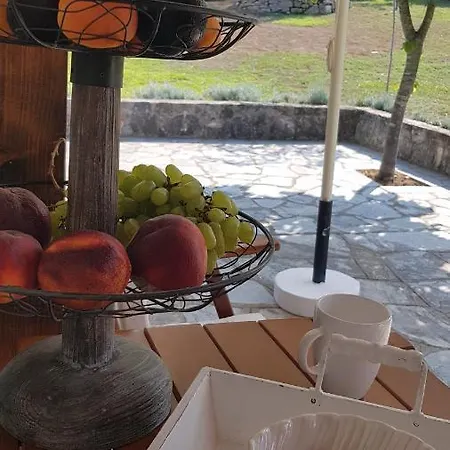 Tatil Evi Konstantinos's Luxury Sani