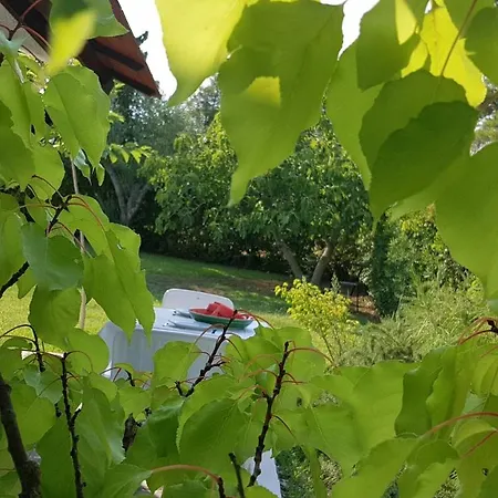 Konstantinos's Luxury Sani Sani (Chalkidiki)