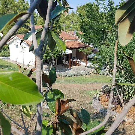 Konstantinos's Luxury Sani *