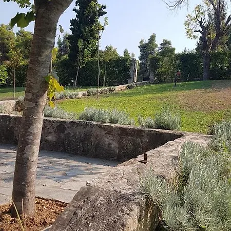 Tatil Evi Konstantinos's Luxury Sani