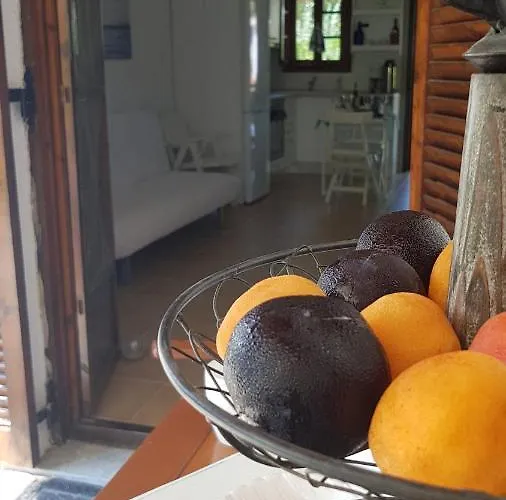 Hébergement de vacances Konstantinos's Luxury Sani