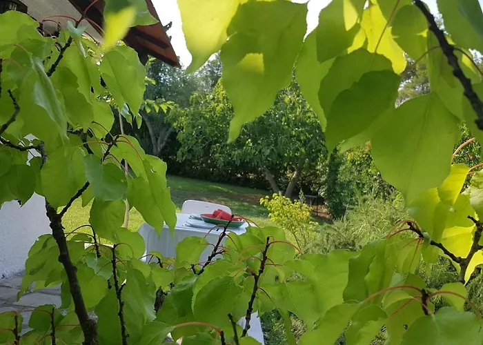 Konstantinos's Luxury Sani Sani (Chalkidiki)