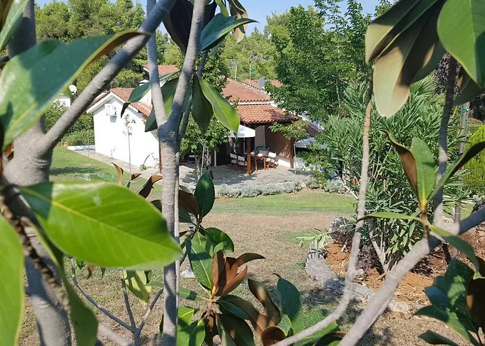 Konstantinos's Luxury Sani *